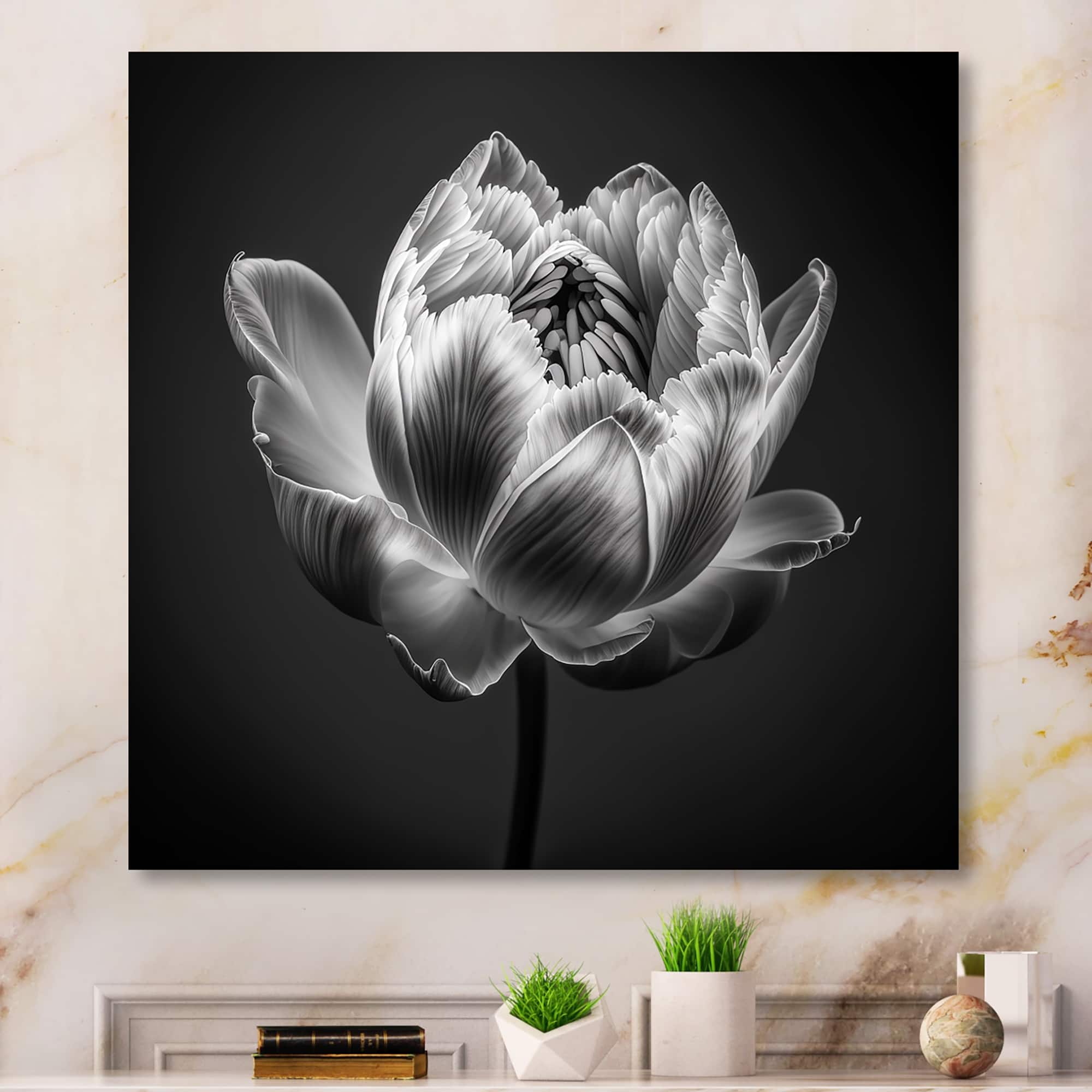 Designart "Closeup Of Black And White Tulip III" Floral Tulip Canvas Wall Art Bed Bath